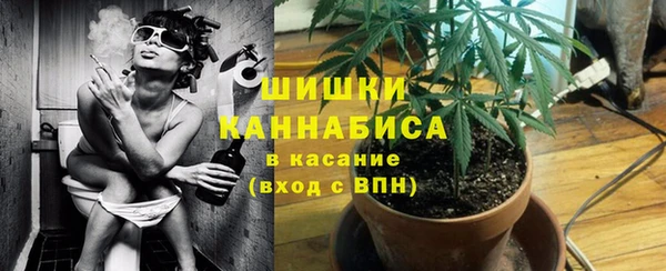 бутират Дмитриев