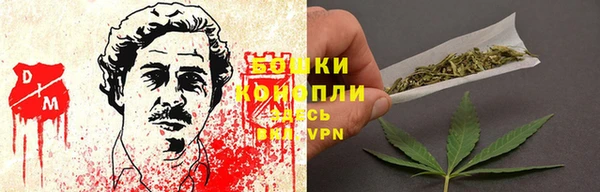 бутират Дмитриев