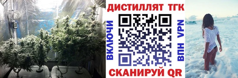 hydra вход  купить закладку  Устюжна  ТГК Wax 