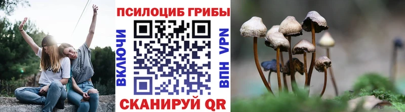 Псилоцибиновые грибы GOLDEN TEACHER Устюжна