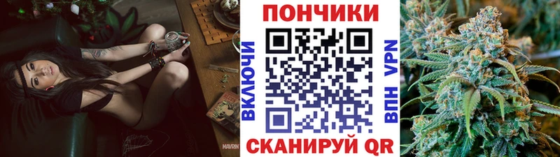 МАРИХУАНА ГИДРОПОН  как найти   Устюжна 